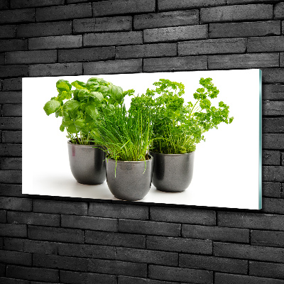 Glasbild Kräuter in Töpfen