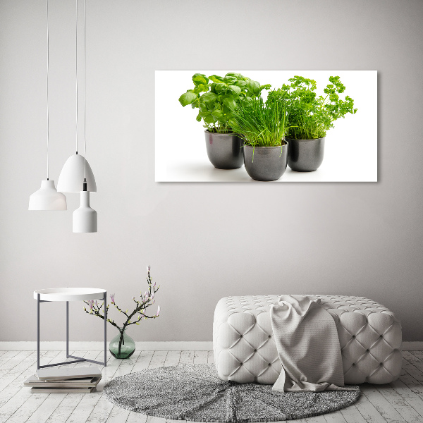 Glasbild Kräuter in Töpfen