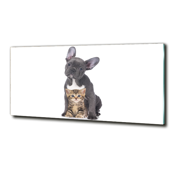 Glasbild Hund und Katze