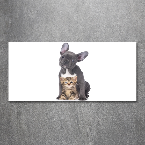 Glasbild Hund und Katze