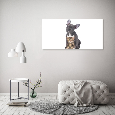 Glasbild Hund und Katze