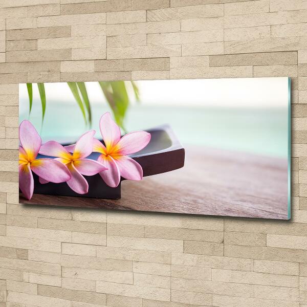 Foto glasbild Plumeria