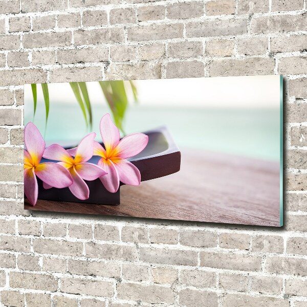 Foto glasbild Plumeria