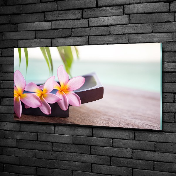 Foto glasbild Plumeria