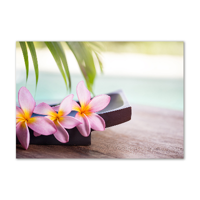 Foto glasbild Plumeria
