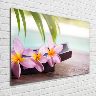 Foto glasbild Plumeria