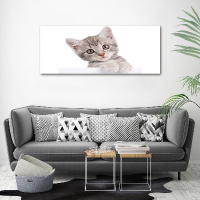 Foto glasbild Graue Katze