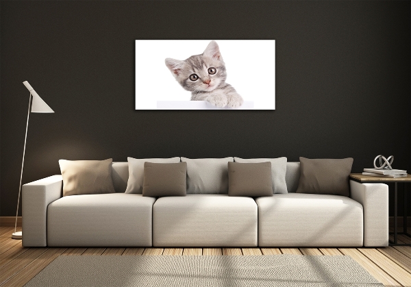 Foto glasbild Graue Katze