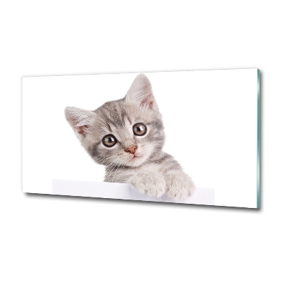 Foto glasbild Graue Katze