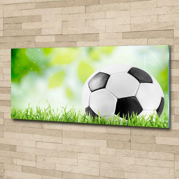 Foto glasbild Fußball