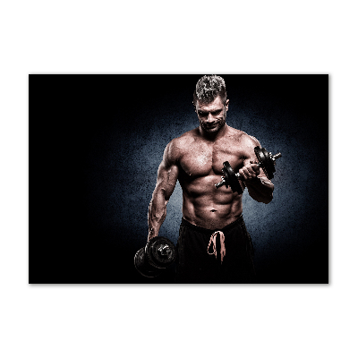 Glasbild Muskelaufbau