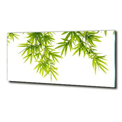 Glasbild Bambusblätter