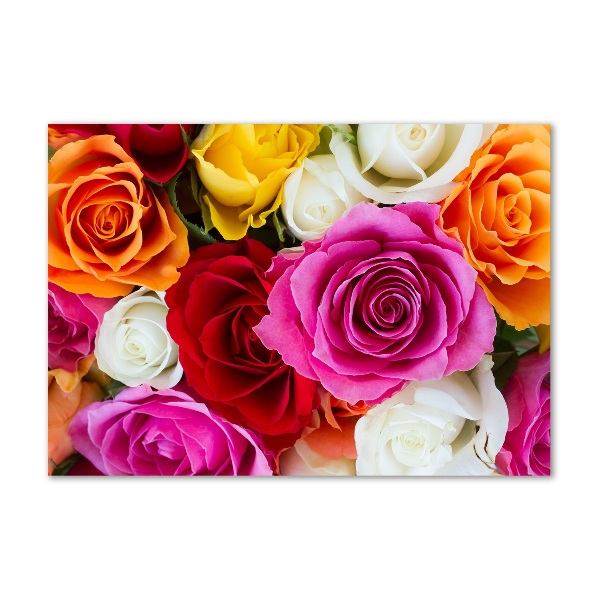 Foto glasbild Bunte Rosen