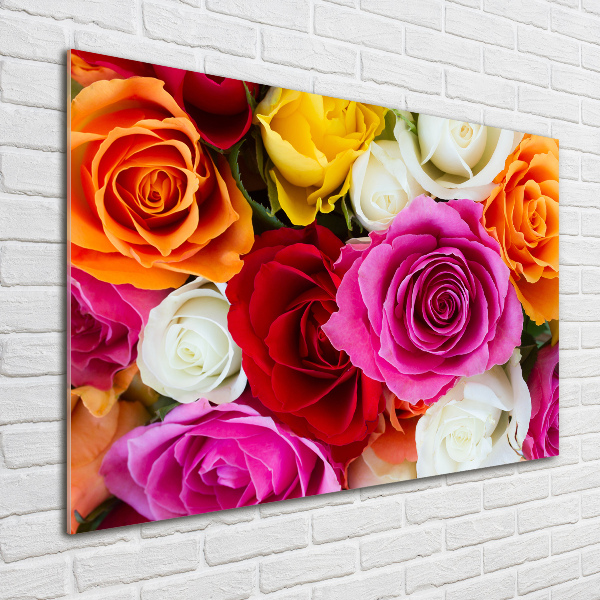 Foto glasbild Bunte Rosen