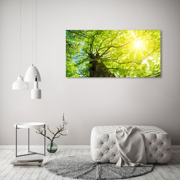 Bild auf glas Kastanie im Frühling