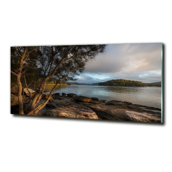 Foto glasbild Ein Baum am Fluss