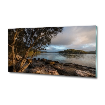 Foto glasbild Ein Baum am Fluss