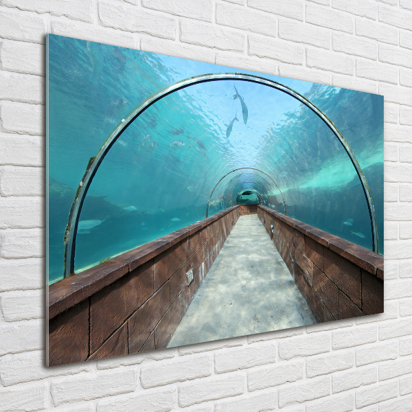 Foto glasbild Aquariumtunnel