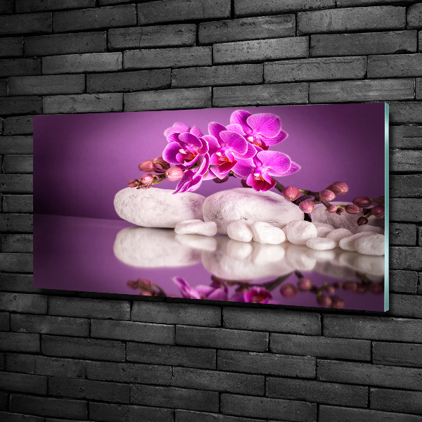 Foto glasbild Rosa Orchidee