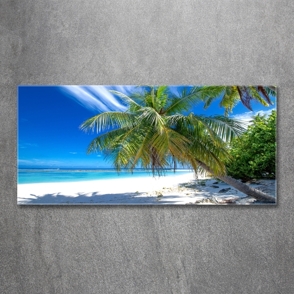 Bild auf glas Tropischer Strand