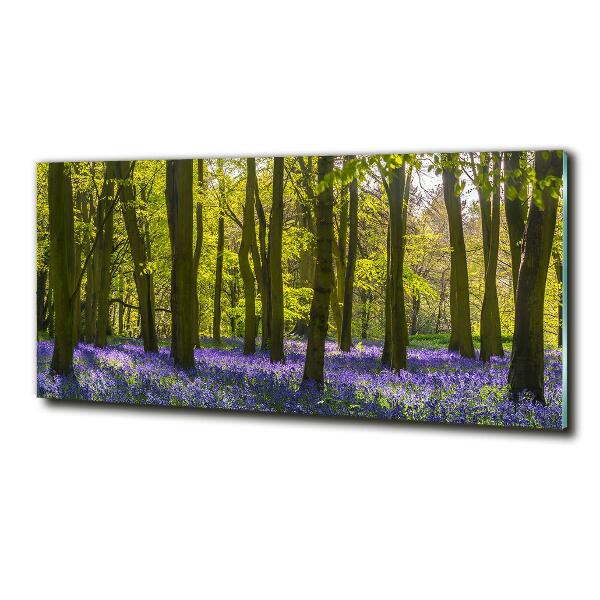 Foto glasbild Wald im Frühling