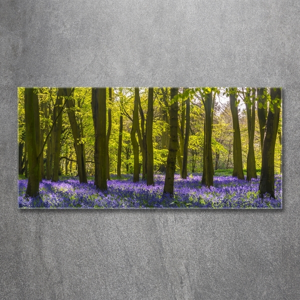 Foto glasbild Wald im Frühling
