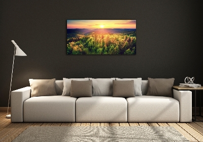 Glasbild Sonnenuntergang im Wald