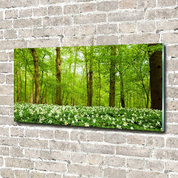 Foto glasbild Blumen im Wald
