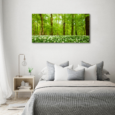 Foto glasbild Blumen im Wald