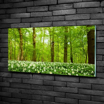 Foto glasbild Blumen im Wald