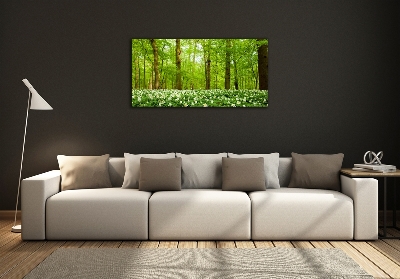 Foto glasbild Blumen im Wald