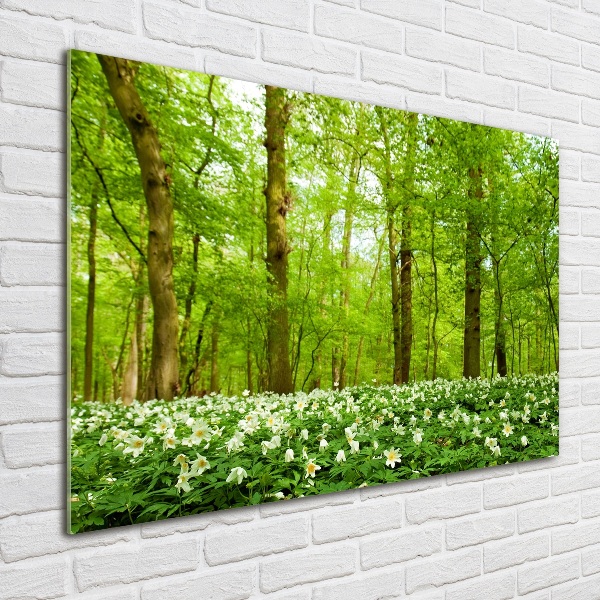 Foto glasbild Blumen im Wald