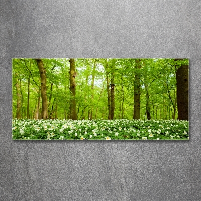 Foto glasbild Blumen im Wald