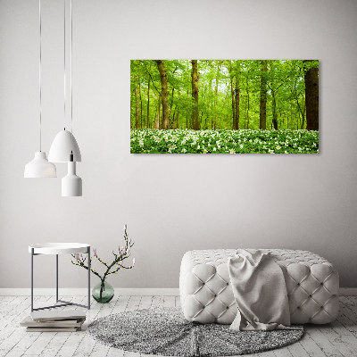 Foto glasbild Blumen im Wald