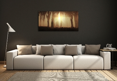 Glasbild Nebel im Wald