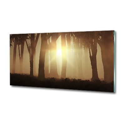 Glasbild Nebel im Wald