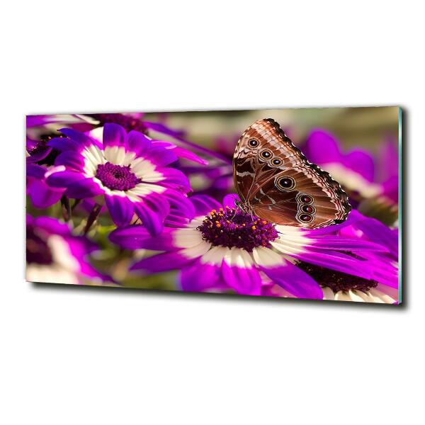 Bild auf glas Schmetterling auf einer Blume