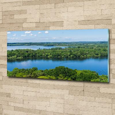 Bild auf glas Wald am See