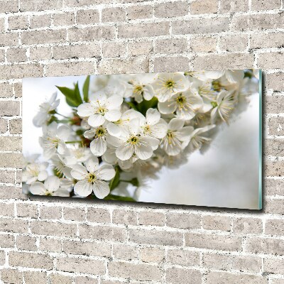 Foto glasbild Kirschblüten