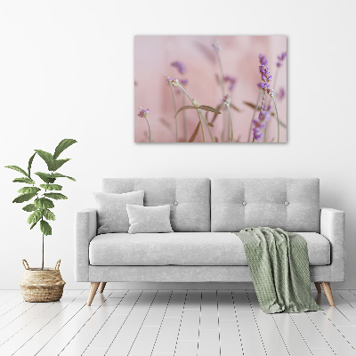 Foto glasbild Lavendel