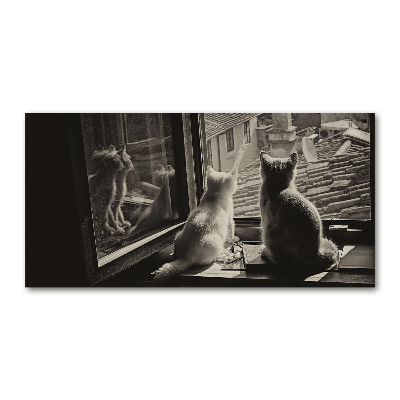 Foto glasbild Katzen am Fenster