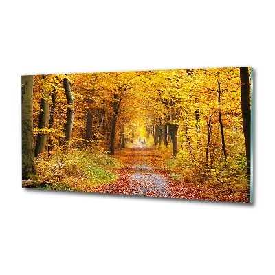 Foto glasbild Wald im Herbst