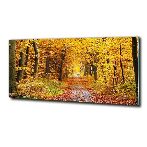 Foto glasbild Wald im Herbst