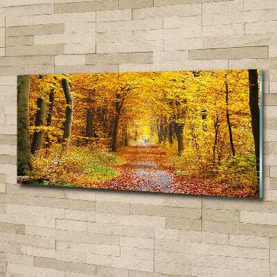 Foto glasbild Wald im Herbst