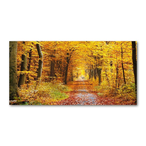 Foto glasbild Wald im Herbst