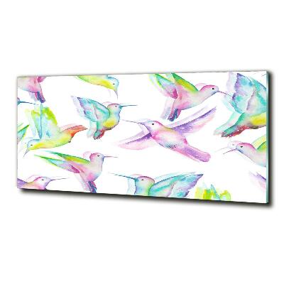 Bild auf glas Kolibris