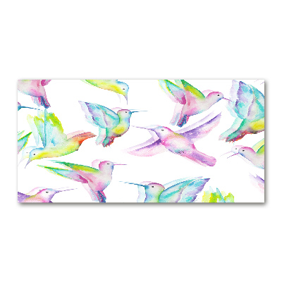 Bild auf glas Kolibris