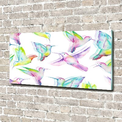 Bild auf glas Kolibris