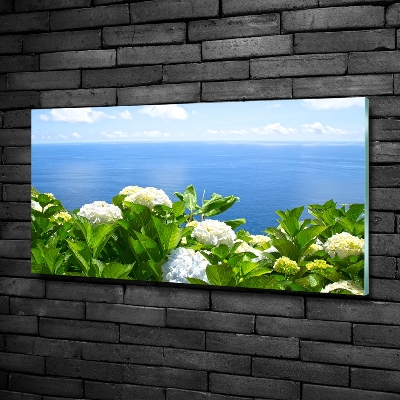 Bild auf glas Blumen am Meer