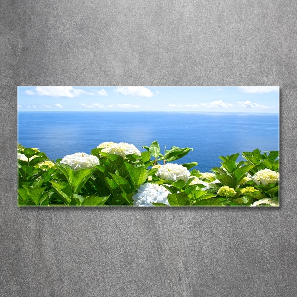 Bild auf glas Blumen am Meer